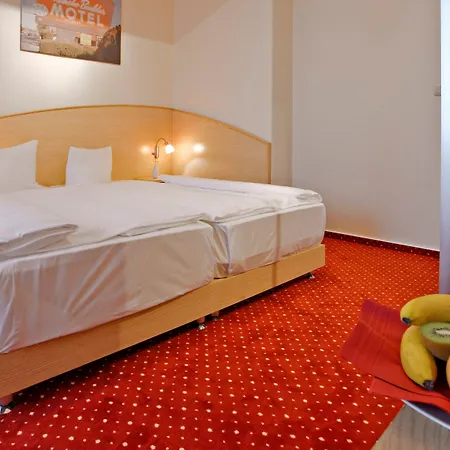 Plaza Hamburg Moorfleet מלון 3*